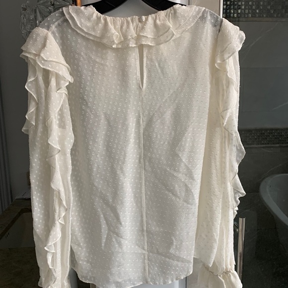 Zimmermann Super 8 Dot Ruffle Silk-Blend Blouse - Picture 10 of 11